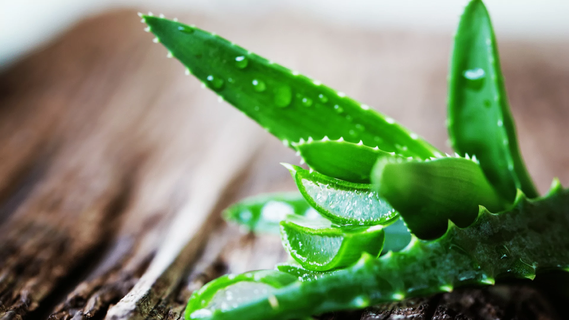 2023 Guide The Healthy Benefits of Drinking Aloe Vera Juice