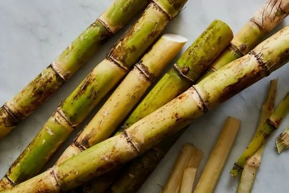 Sugarcane