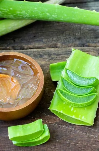 Aloe Vera Juice: 7 Awesome Benefits 6 62f661ea84d1e5dbb413aaee52c13161 1