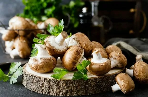 Mushroom Mushroom