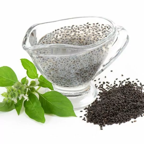 RAW-UNROASTED-BASIL-SEEDS-for-Weight-loss-5 RAW-UNROASTED-BASIL-SEEDS
