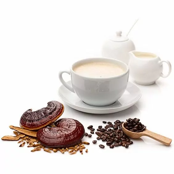 Mushroom Coffee Mushroom Coffee