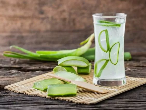 Aloe Vera Juice: 7 Awesome Benefits 4 e789e4b3e560ed5af7f4b6df3e5a883c 1