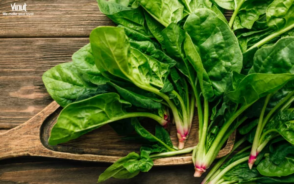VINUT_Spinach VINUT_Spinach