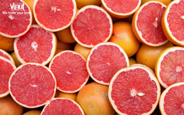 VINUT_What Is Grapefruit? VINUT_What Is Grapefruit?