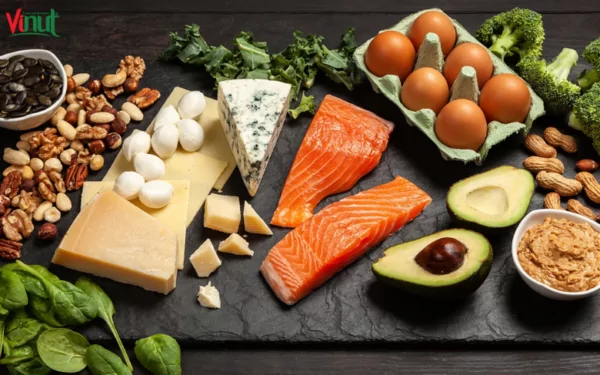 VINUT_The Ketogenic Diet Breakdown VINUT_The Ketogenic Diet Breakdown