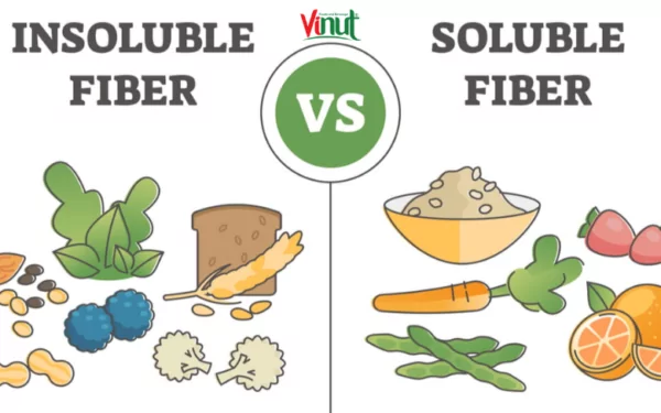 VINUT_Soluble Fiber and Insoluble Fiber VINUT_Soluble Fiber and Insoluble Fiber