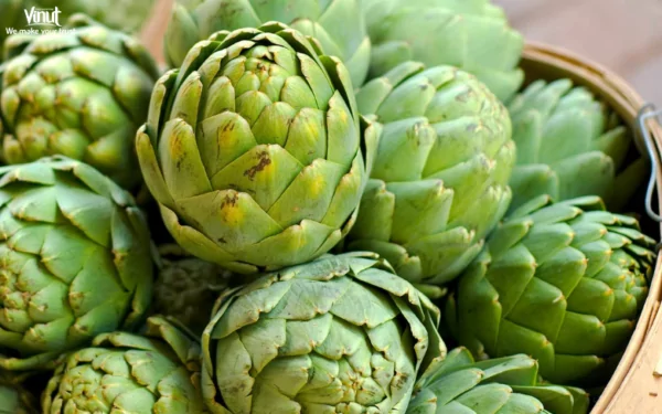 VINUT_ Artichokes VINUT_ Artichokes