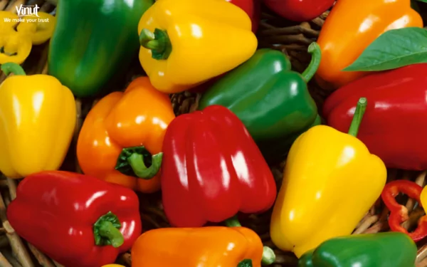 VINUT_Bell Peppers VINUT_Bell Peppers