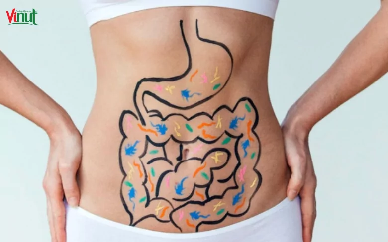 Lemon Juice: 5 Amazing Benefits, Uses, and Tips 8 VINUT_Digestive Relief: How Bael Juice Aids Digestion