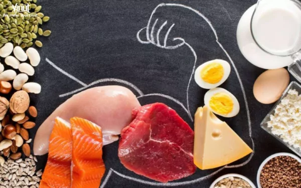 VINUT_Understanding Protein and Its Importance VINUT_Understanding Protein and Its Importance