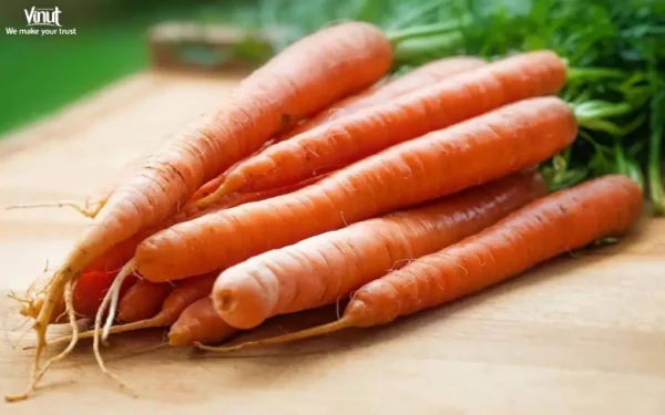 VINUT_Carrots VINUT_Carrots