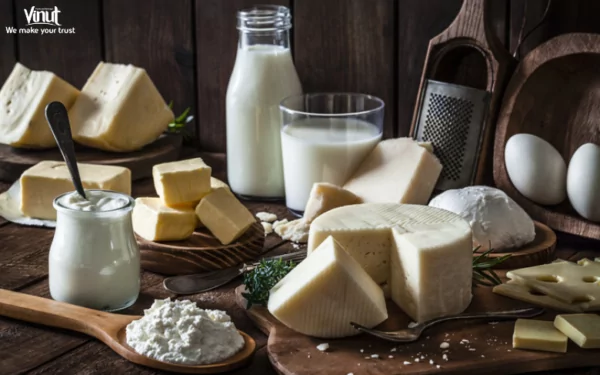 VINUT_Dairy Products VINUT_Dairy Products