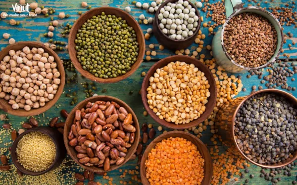 VINUT_Legumes VINUT_Legumes
