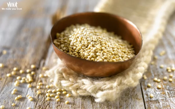 VINUT_Quinoa VINUT_Quinoa
