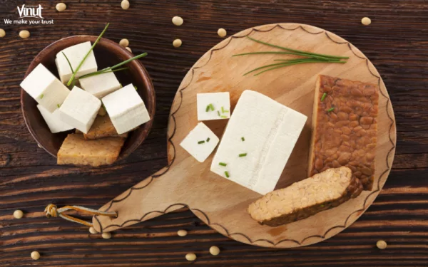 VINUT_Tofu and Tempeh VINUT_Tofu and Tempeh