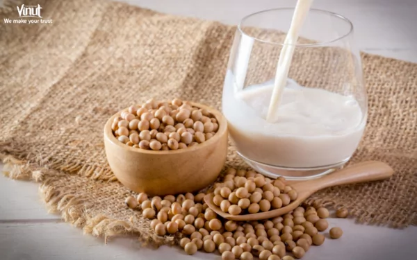 VINUT_ Soy Milk VINUT_ Soy Milk