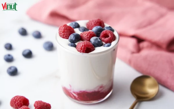 VINUT_Yogurt VINUT_Yogurt