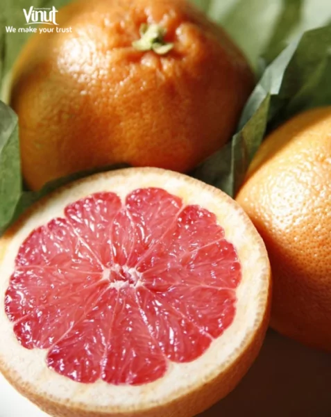 VINUT_ Pomelo VINUT_ Pomelo