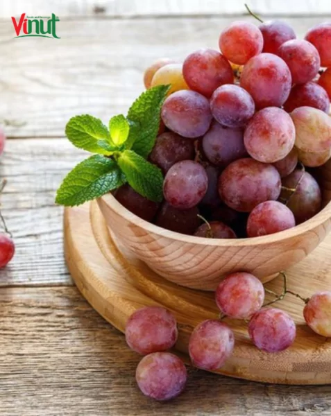 VINUT_Grape Fruit VINUT_Grape Fruit