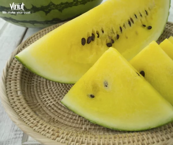 VINUT_Yellow Crimson Watermelon VINUT_Yellow Crimson Watermelon