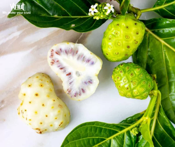 VINUT_Noni Fruit VINUT_Noni Fruit
