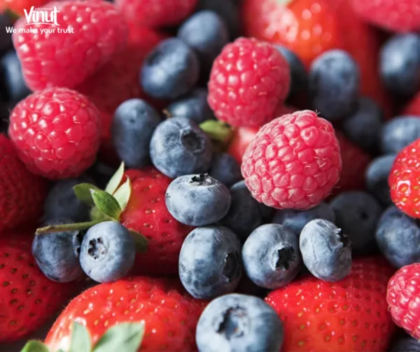 VINUT_Berries VINUT_Berries