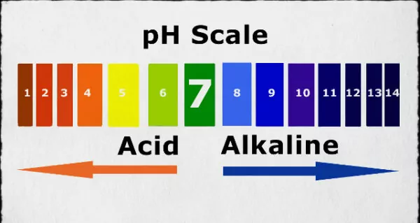 Acidic Acidic