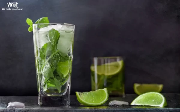 VINUT_ The Mojito VINUT_ The Mojito