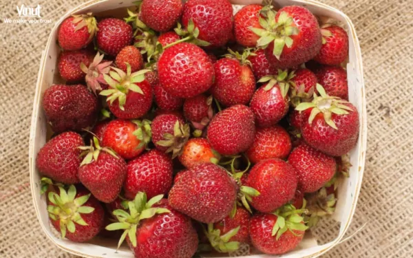 VINUT_Jewel strawberries VINUT_Jewel strawberries