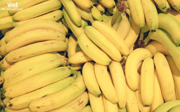 VINUT_Cavendish Bananas VINUT_Cavendish Bananas