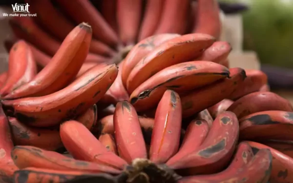 VINUT_Red Bananas VINUT_Red Bananas