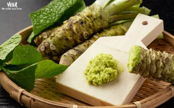 VINUT_Wasabi VINUT_Wasabi