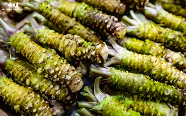 Health Benefits of Basil Seeds - 2023-06-23T154502.499 VINUT_What is Wasabi?