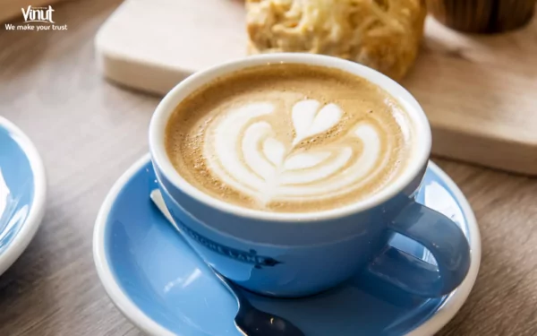 VINUT_Cappuccino at Home: Equipment and Recipes for the Perfect Cup