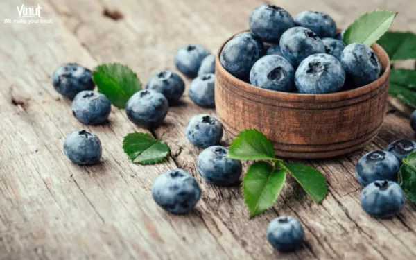 VINUT_Blueberries are small, round berries known for their vibrant blue color. VINUT_Blueberries are small, round berries known for their vibrant blue color.
