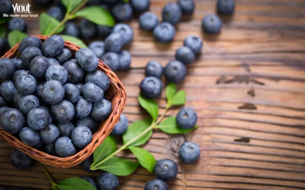 VINUT_Blueberries VINUT_Blueberries