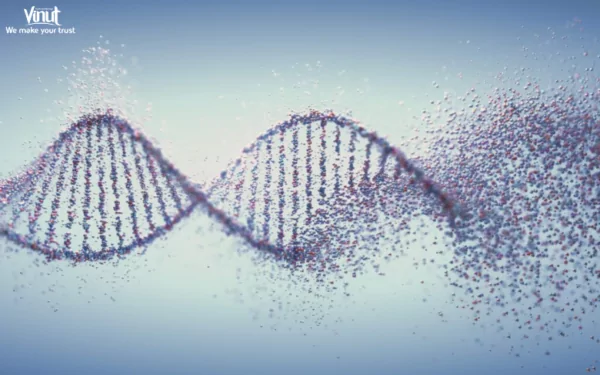 VINUT_Reduce DNA Damage VINUT_Reduce DNA Damage