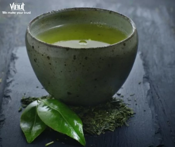 VINUT_Sencha VINUT_Sencha