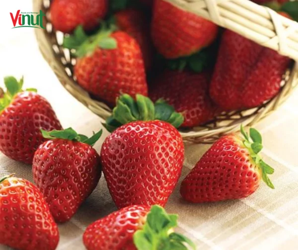 VINUT_Albion strawberries VINUT_Albion strawberries