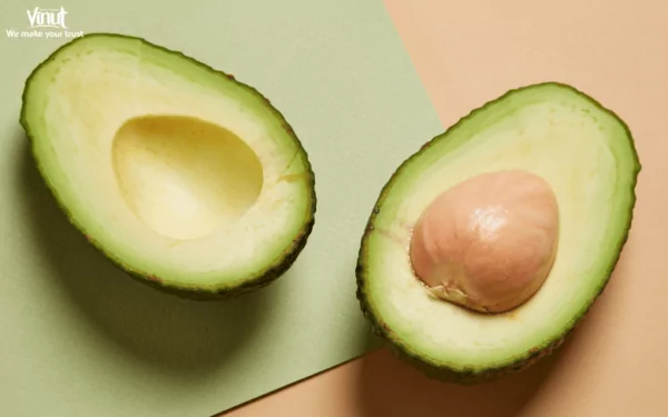 VINUT_Avocado VINUT_Avocado