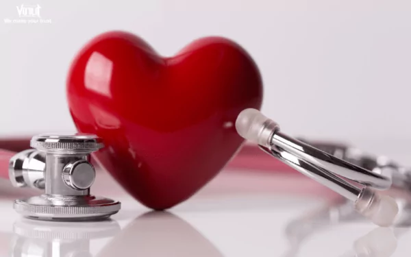 VINUT_ Boosting Cardiovascular Health VINUT_ Boosting Cardiovascular Health