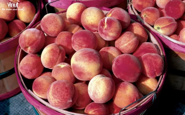 VINUT_Georgia Belle Peaches VINUT_Georgia Belle Peaches