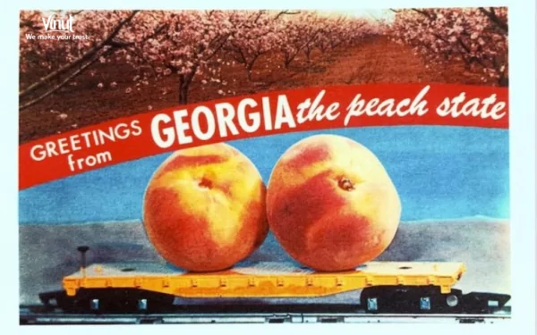 VINUT_Georgia is known as the “Peach State” VINUT_Georgia is known as the “Peach State”
