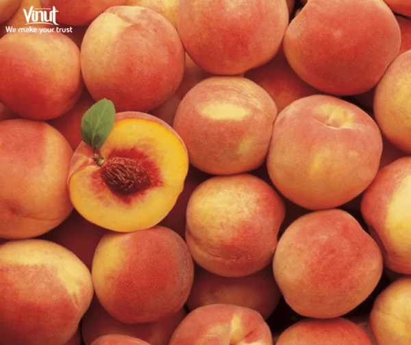 VINUT_Hale Haven Peaches VINUT_Hale Haven Peaches