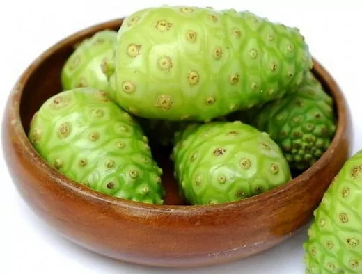 Noni Juice Benefits 3 Noni Juice Benefits