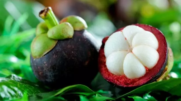 The Most Delicious Tropical Fruits of Vietnam 2023