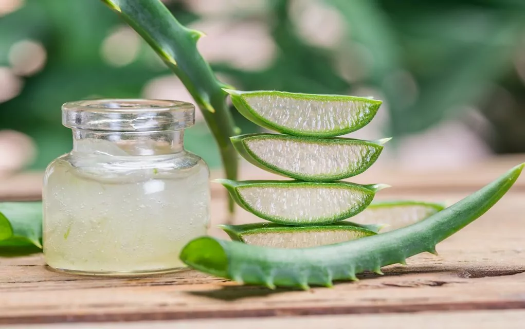 Title Exploring the Benefits and Origins of Original Aloe Vera Products