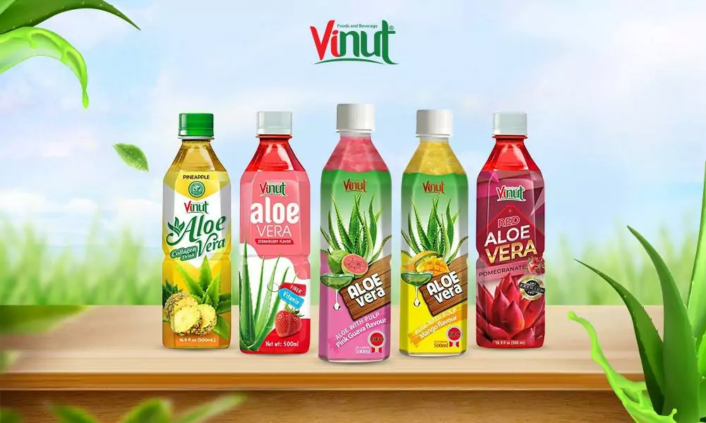 Aloe Vera Juice in Traditional Medicine 3 The 5 Best Tasty Aloe Vera Drink with Fruit Juice
