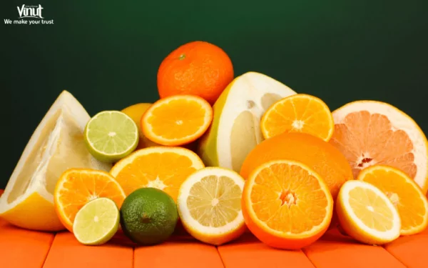 VINUT_Citrus Fruits